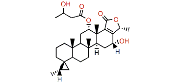 Honulactone H